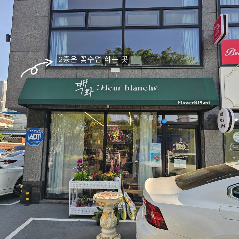 플레르블랑쉐 이미지