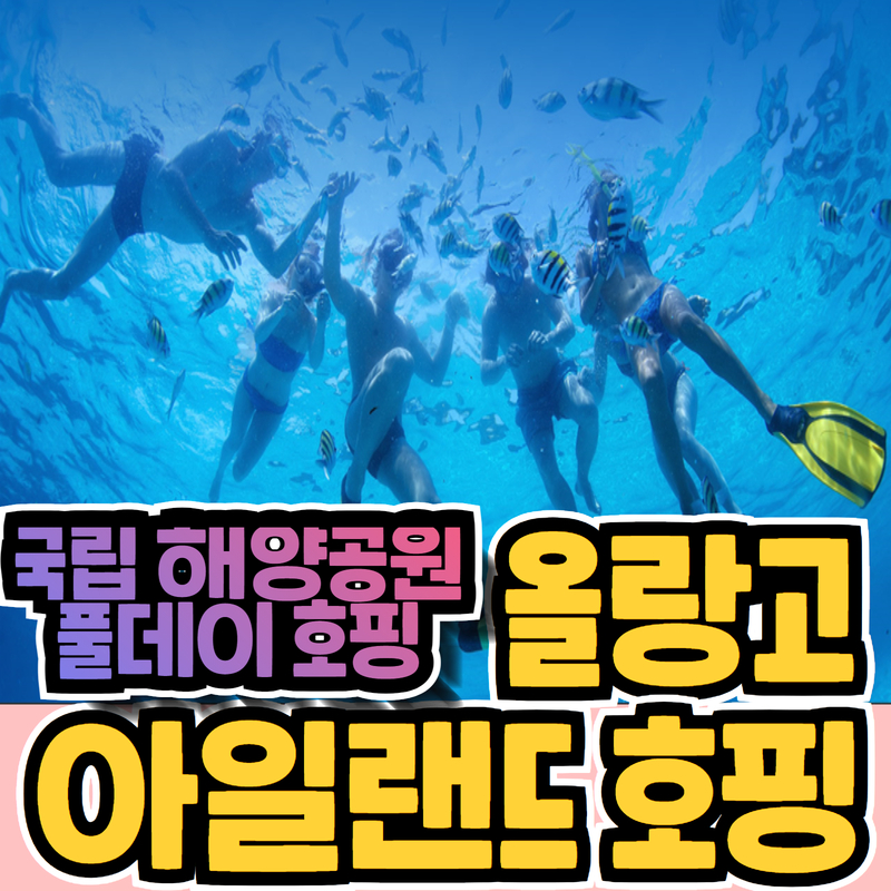마부하이투어 이미지