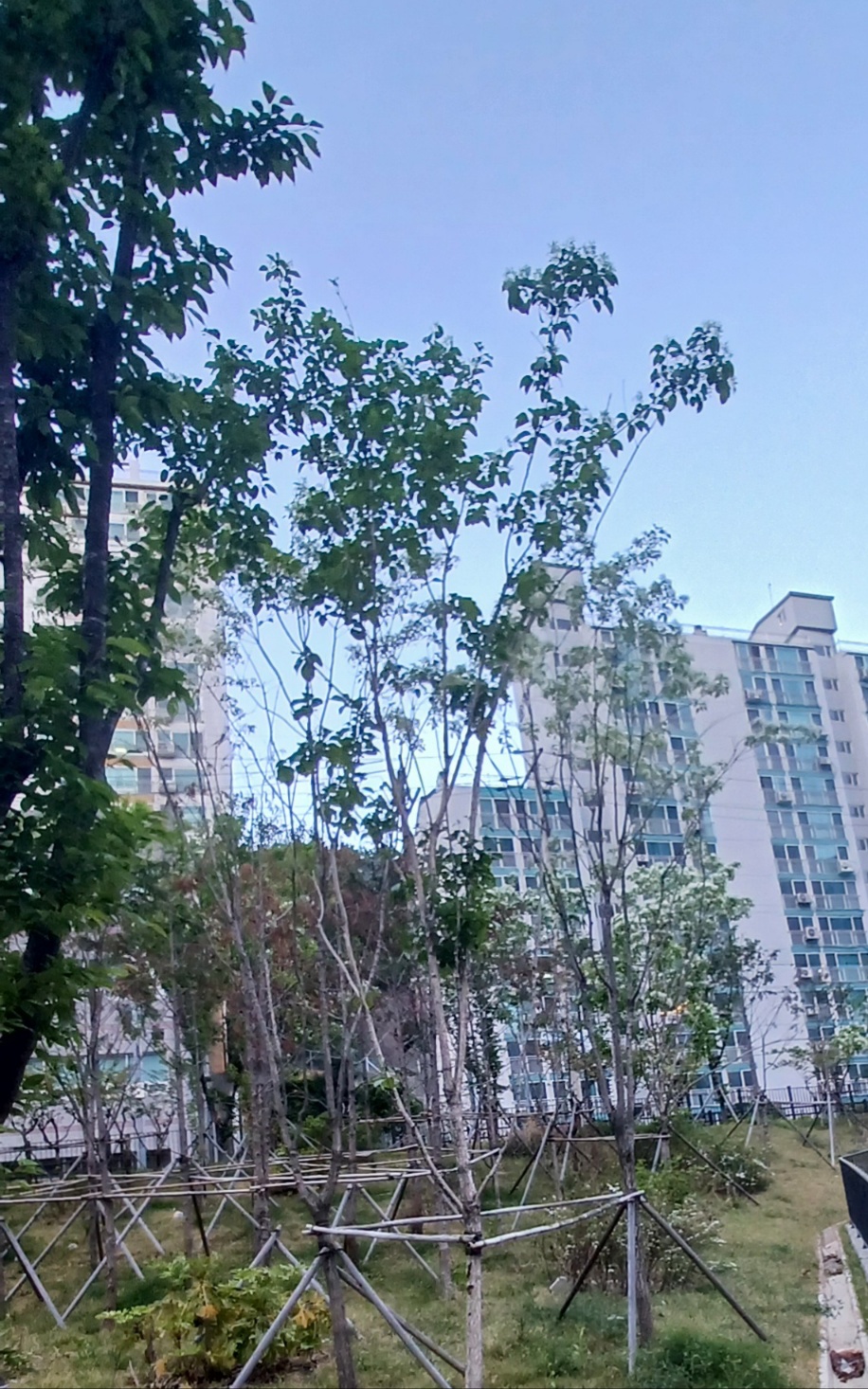 안녕친구야 이미지