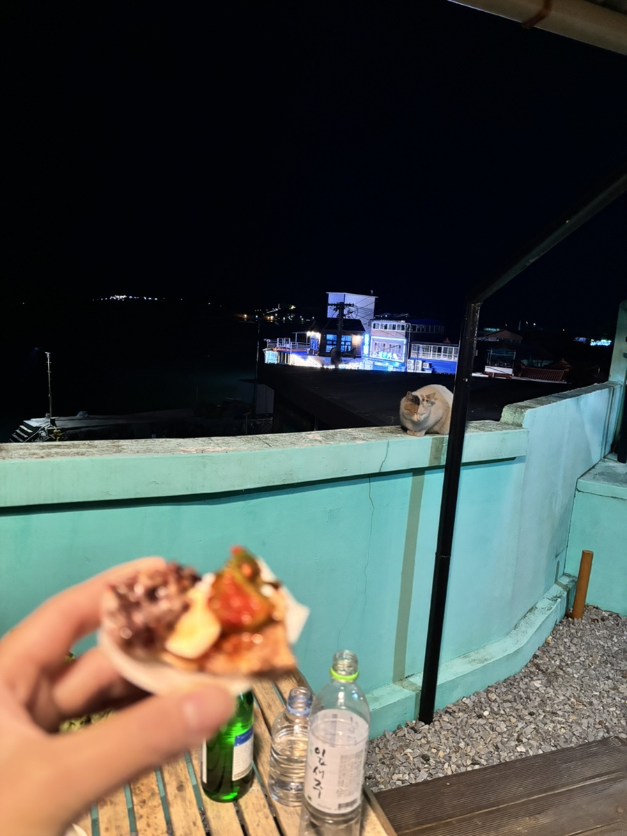 둥지생오리 이미지