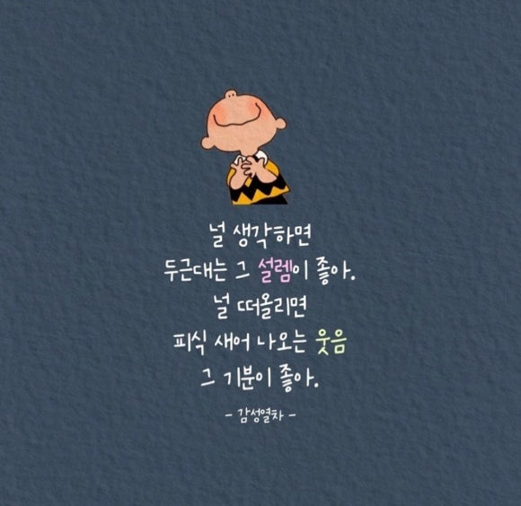 설램 이미지