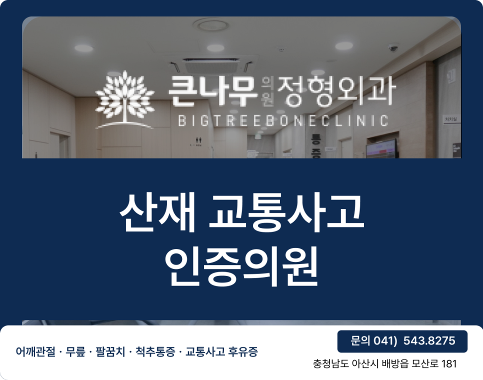 큰나무정형외과의원 이미지