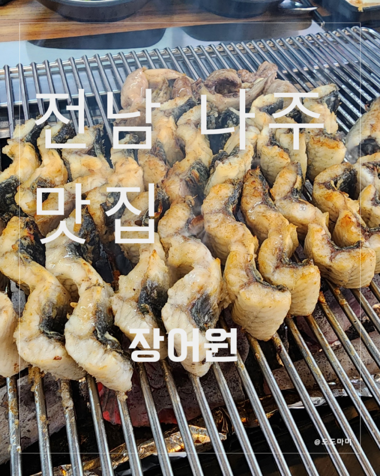 장어원 이미지