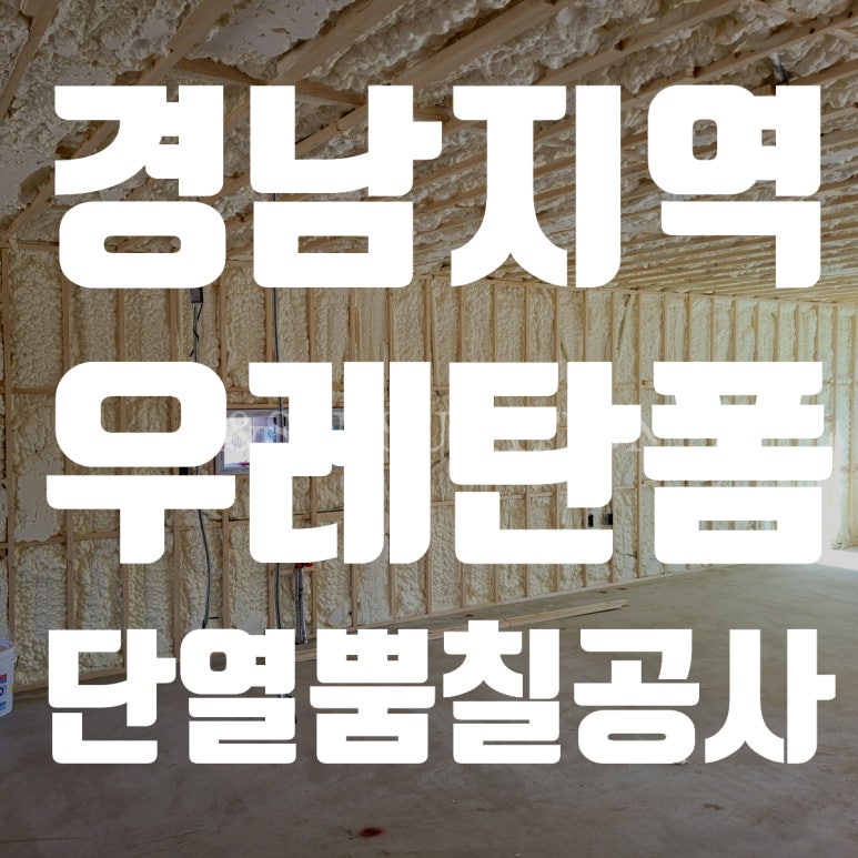 알엔에스 이미지