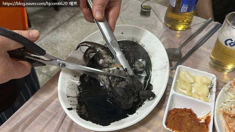 정든가 이미지