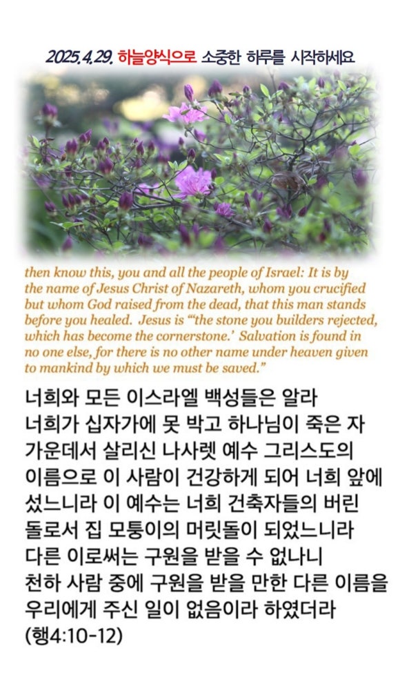 하늘29 이미지