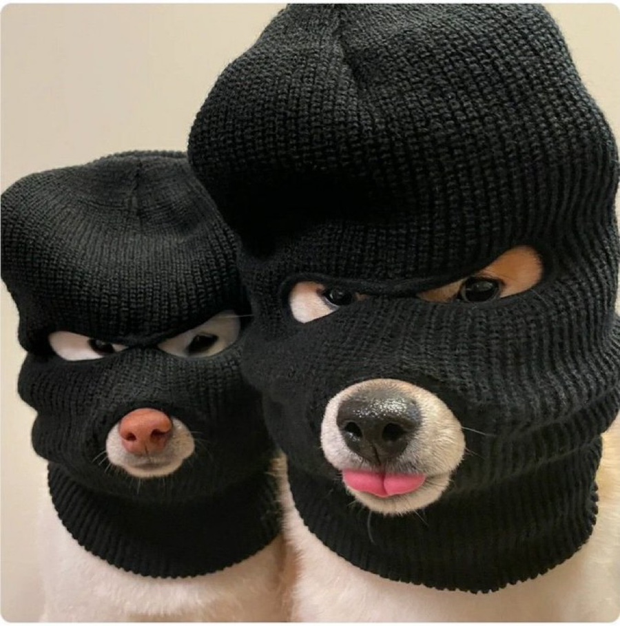 백카페 이미지