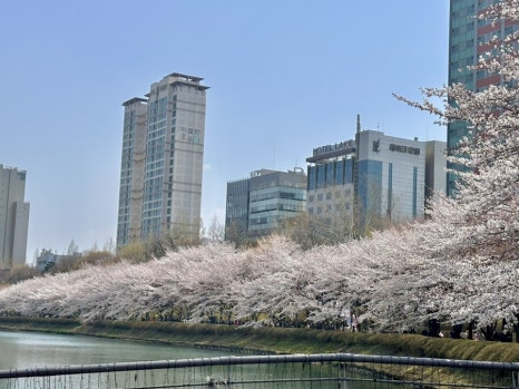 옌듀베이크샵 이미지