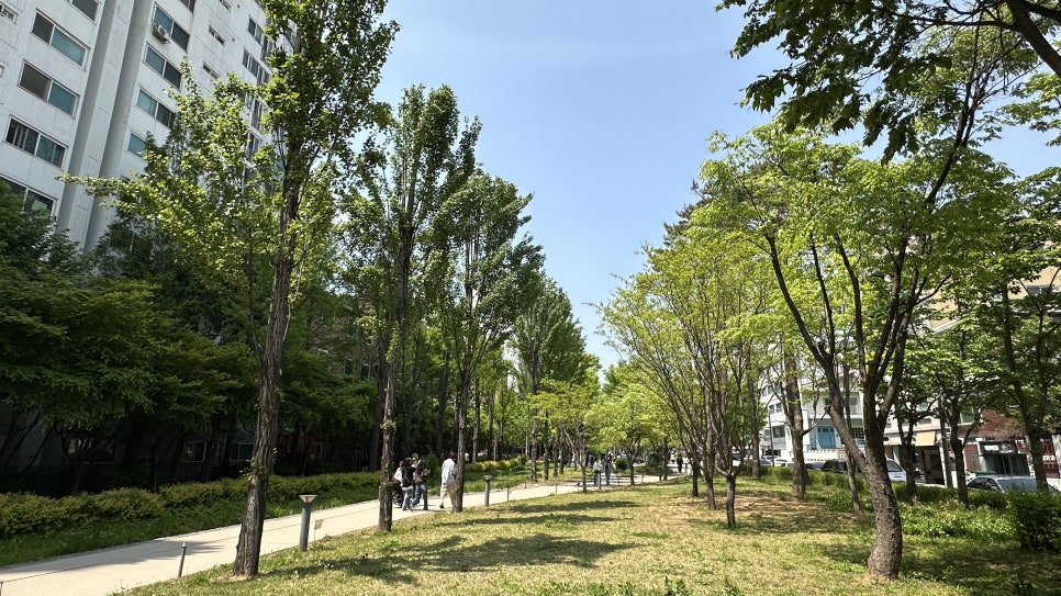 숲길 이미지