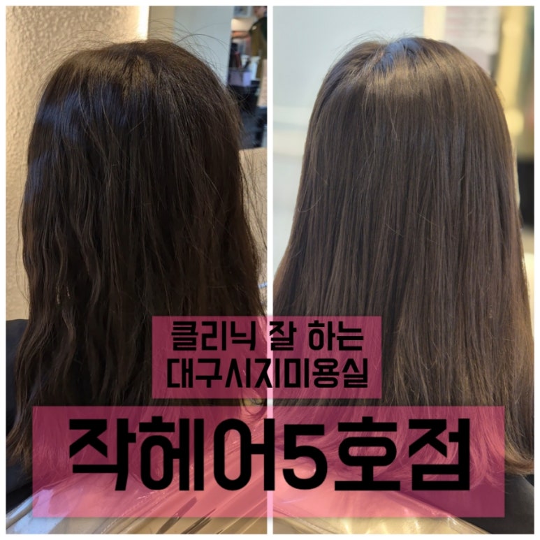 작헤어5호 이미지