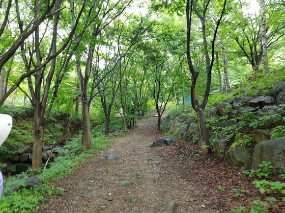 엘림그레이스 이미지