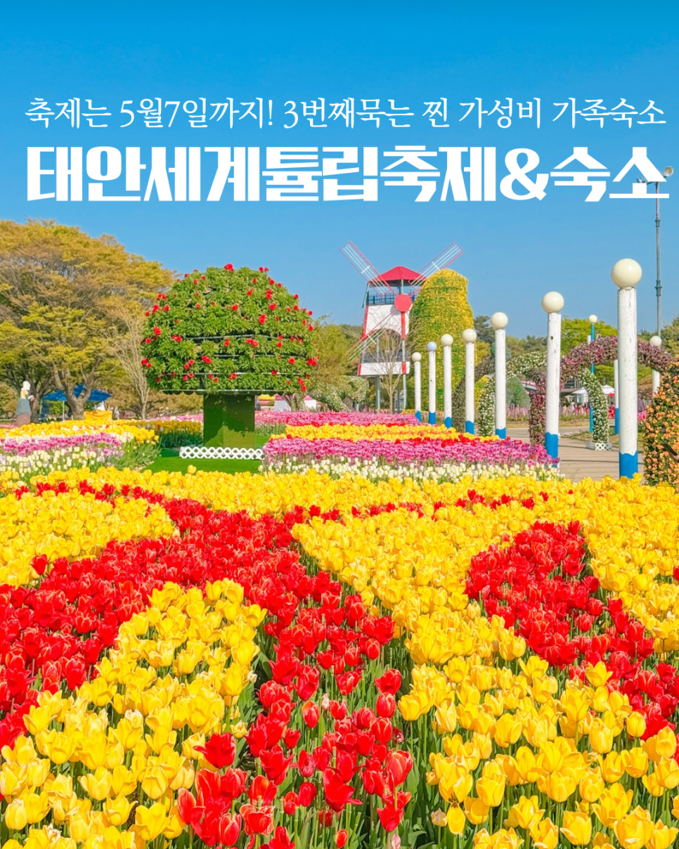 방포비치 이미지