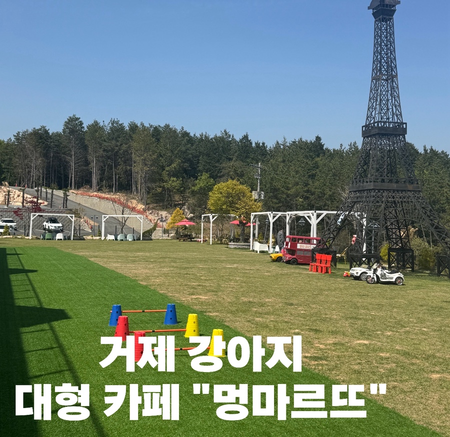 멍마르뜨 이미지