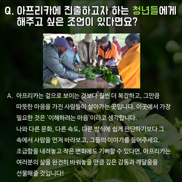임팩트커피 이미지