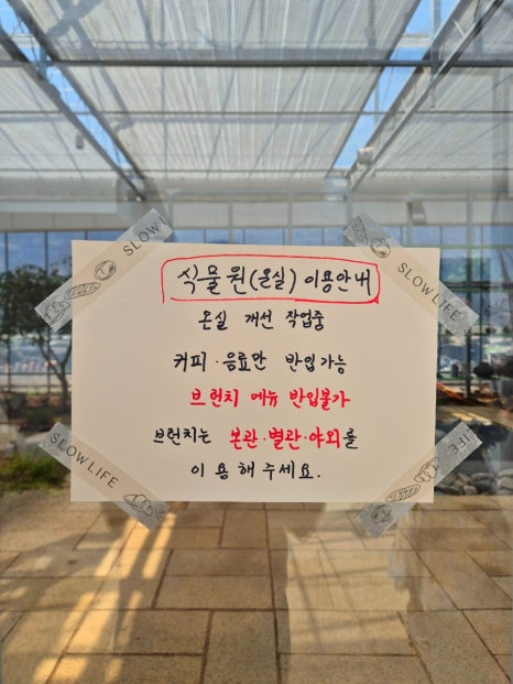 화분속야생화 농원 이미지