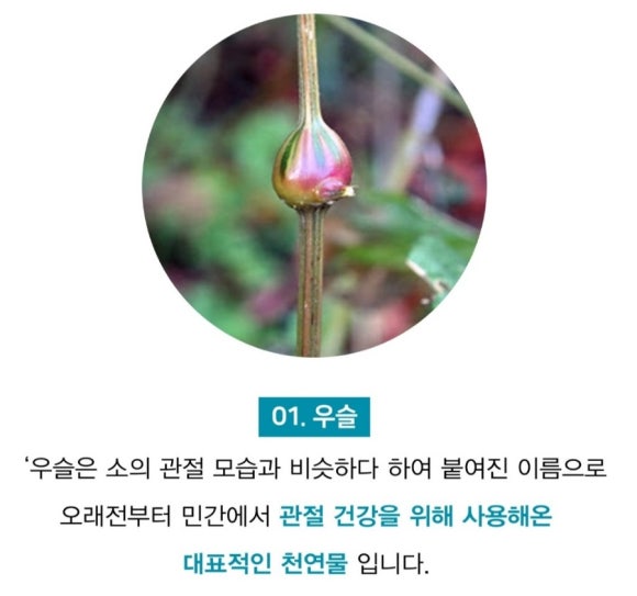 조인과학 이미지