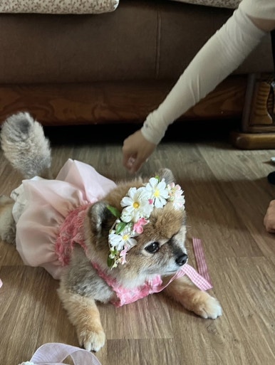 까치스튜디오 이미지