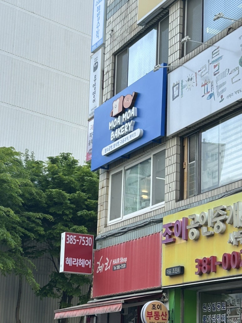 빵모아베이커리 이미지