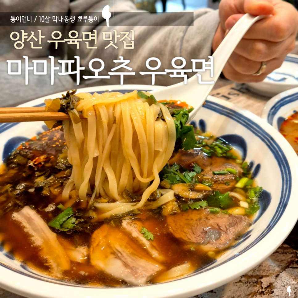마마파오추 이미지