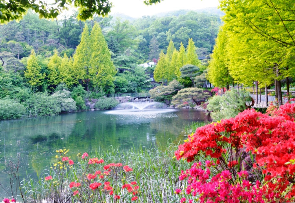 향기담기 이미지