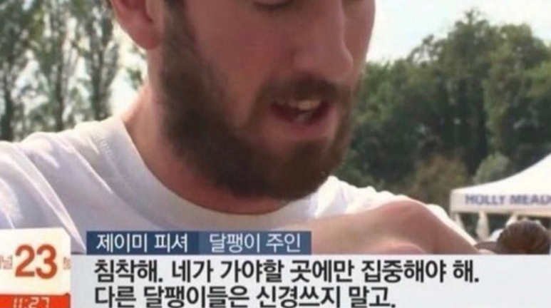리치가플라워 이미지