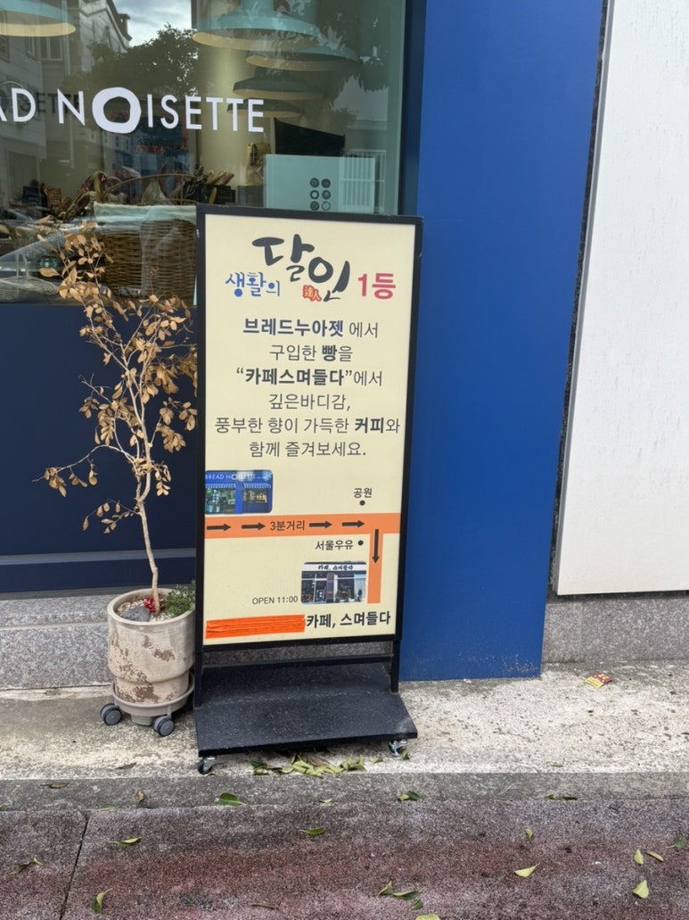 브레드누아젯 이미지