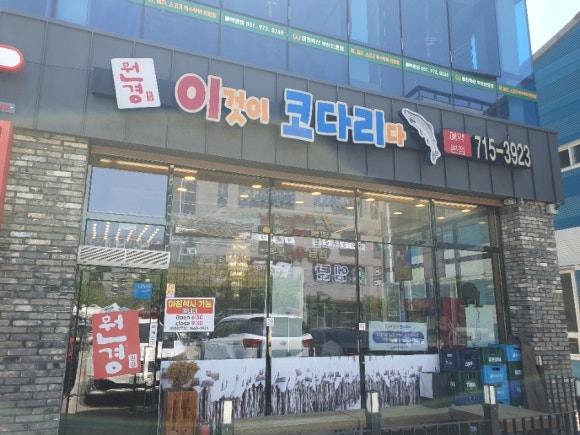 이것이코다리다 이미지