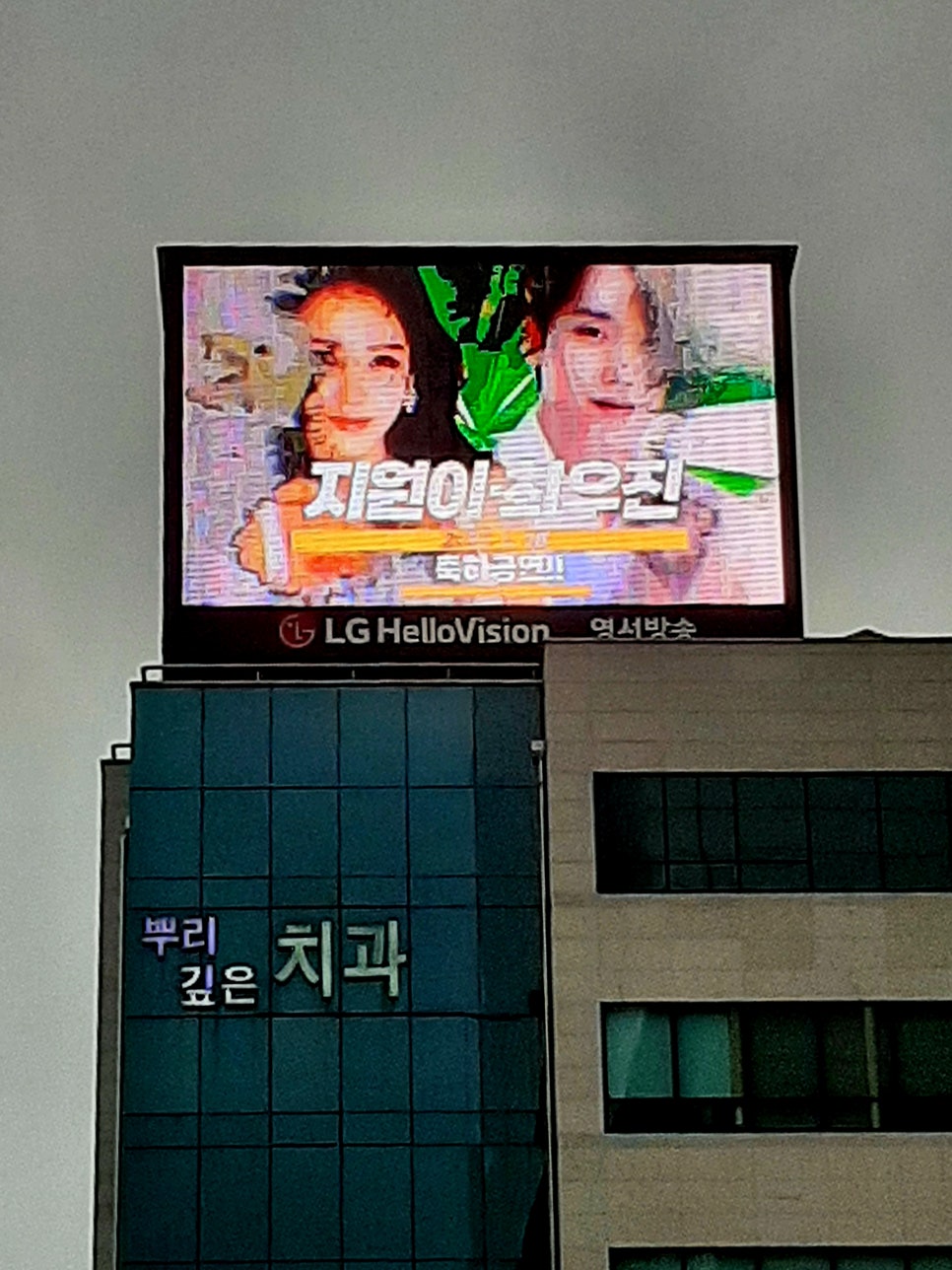 대호광고 이미지