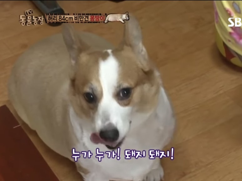 루 이미지