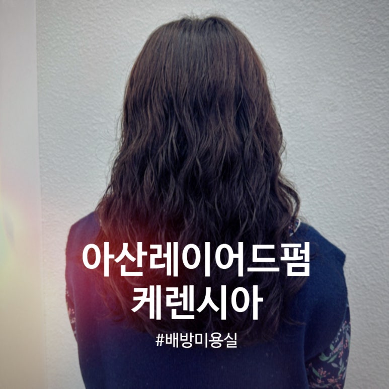 하하헤어샵 이미지