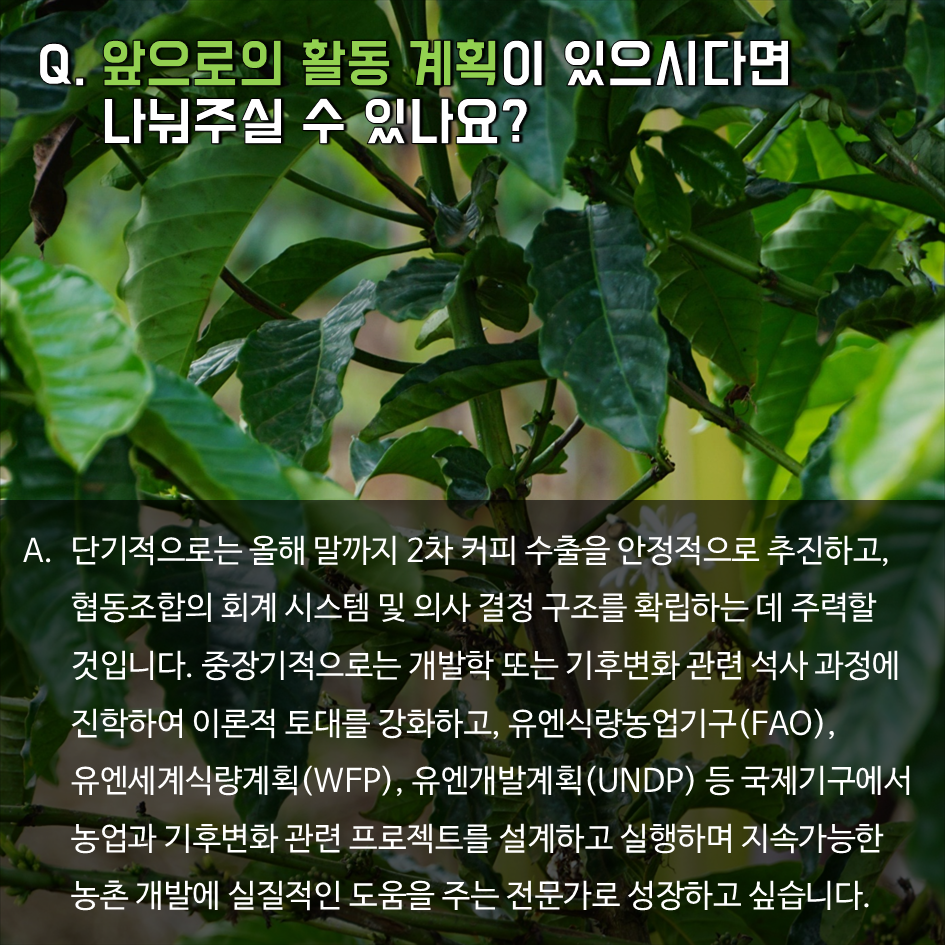 임팩트커피 이미지