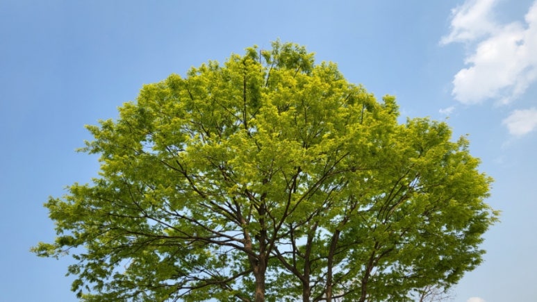 복산커피 이미지