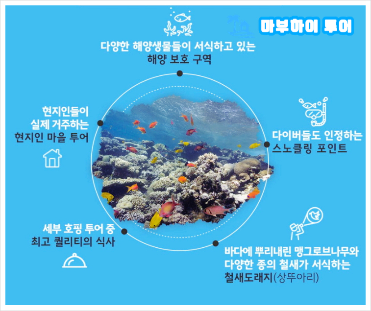 마부하이투어 이미지