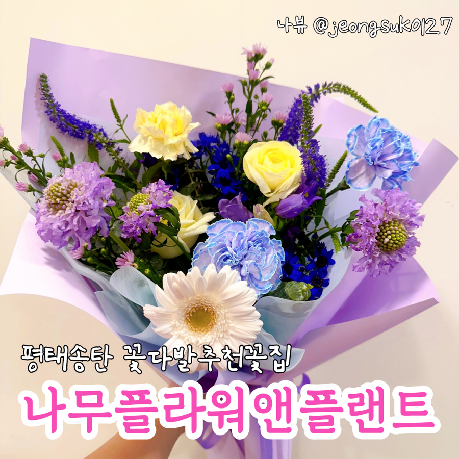나무플라워앤플랜트 이미지