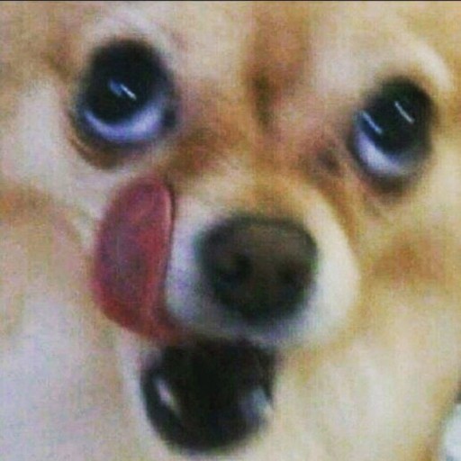 핸드피아 이미지