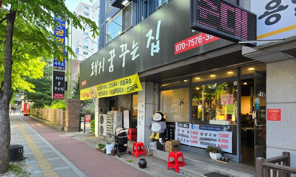 돼지꿈꾸는집 이미지