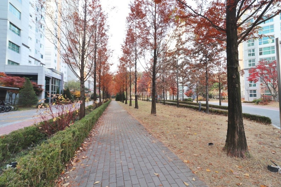 더원부동산공인중개사사무소 이미지