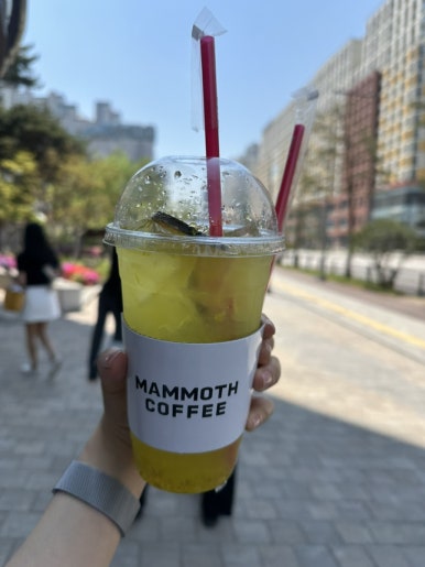 매머드익스프레스수원SK 이미지