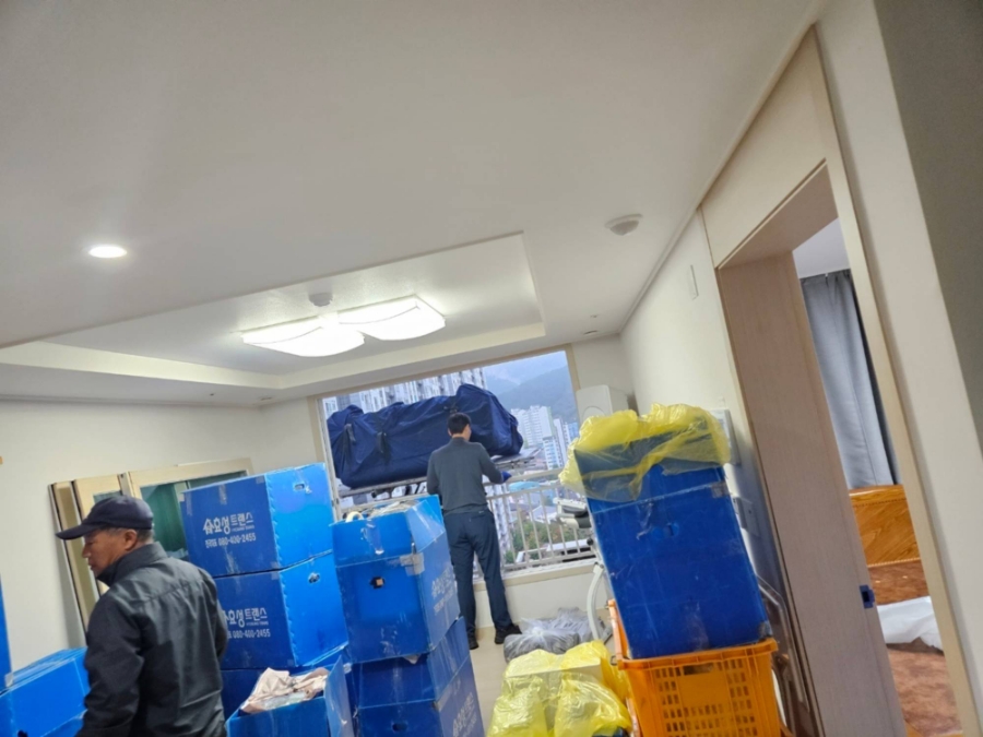 대구트랜스 이미지