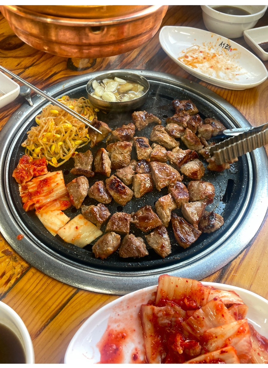 외대갈매기 이미지