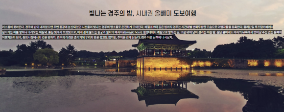 달빛테라피 이미지