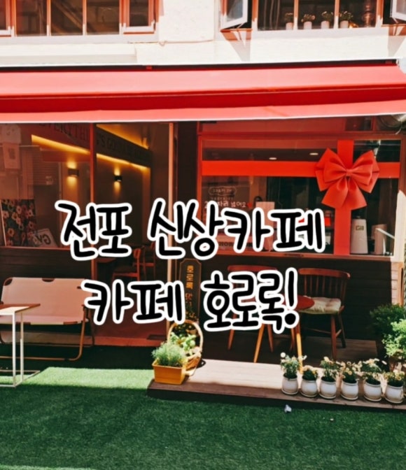 호로록망고사고 이미지