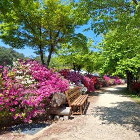 (주)척산 이미지