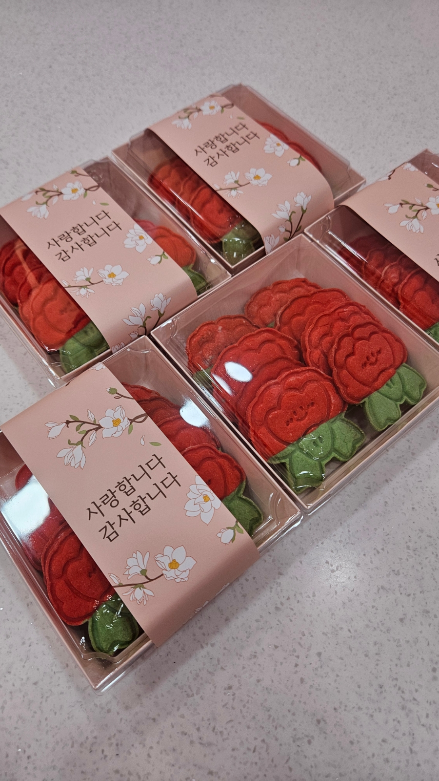 카푸롱 이미지