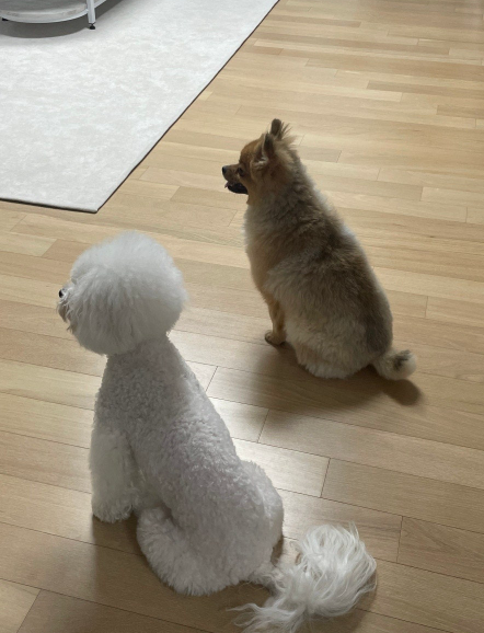 살랑살랑 이미지