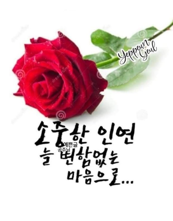행복한 아침 이미지