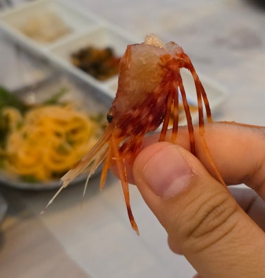 동해바다꽃새우 이미지