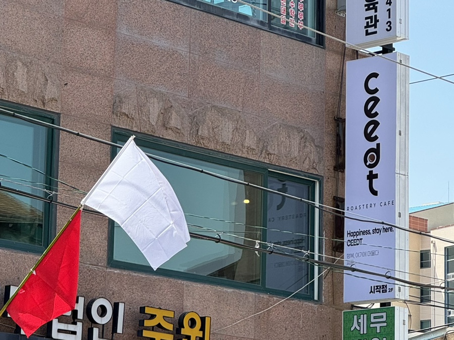 씨듣 이미지