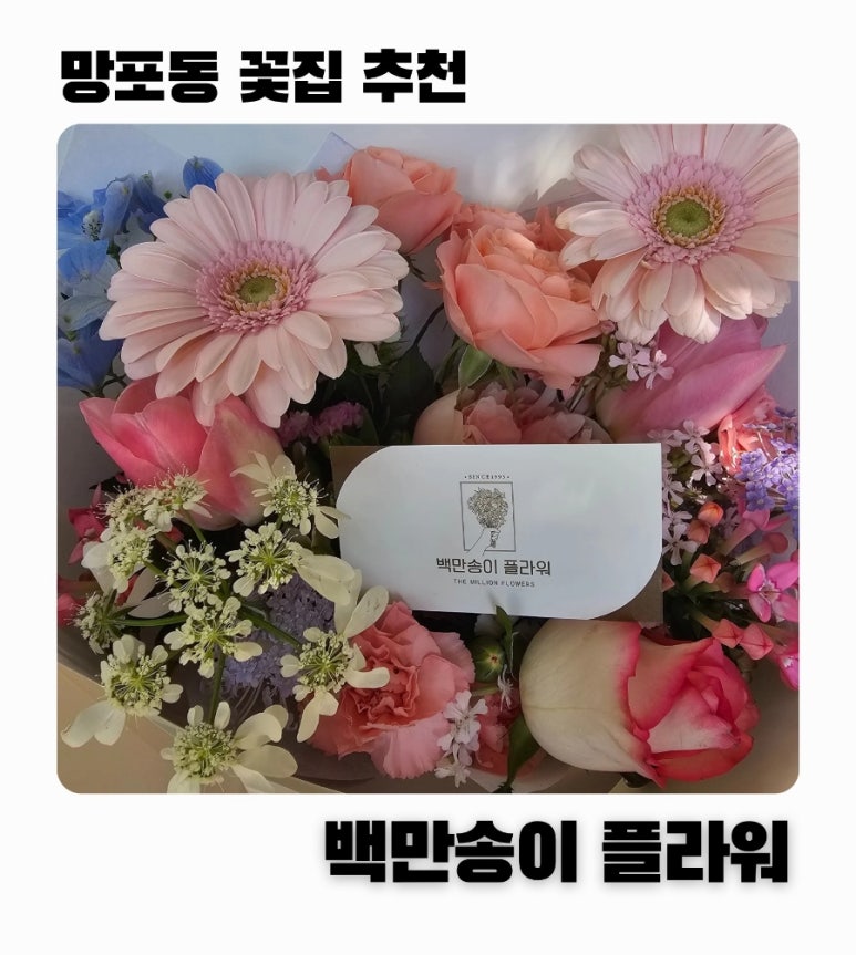 백만송이플라워 이미지