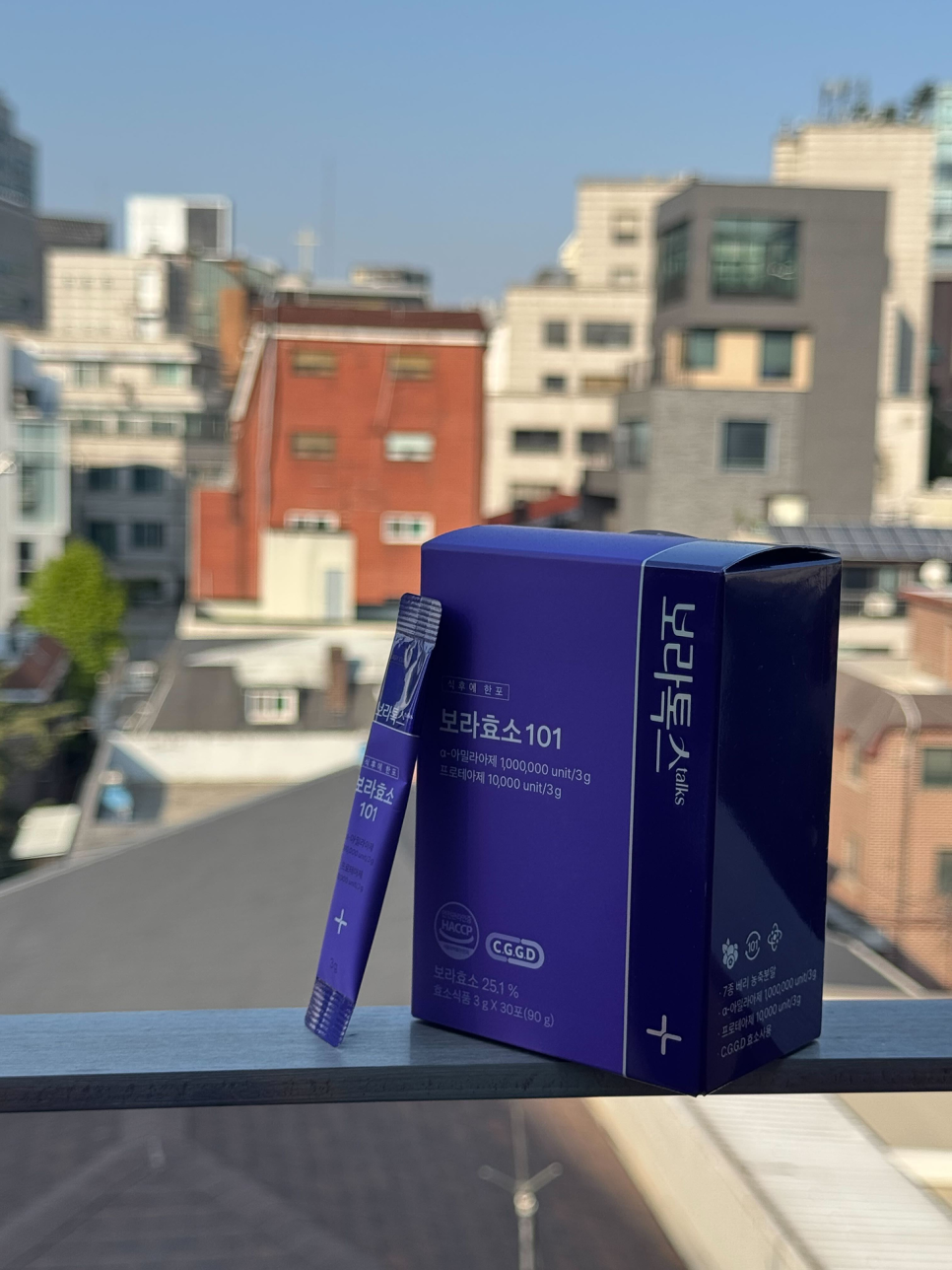 보라개발인력 이미지